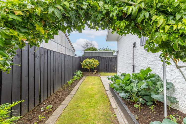 24a Lincoln Street Morrinsville_12