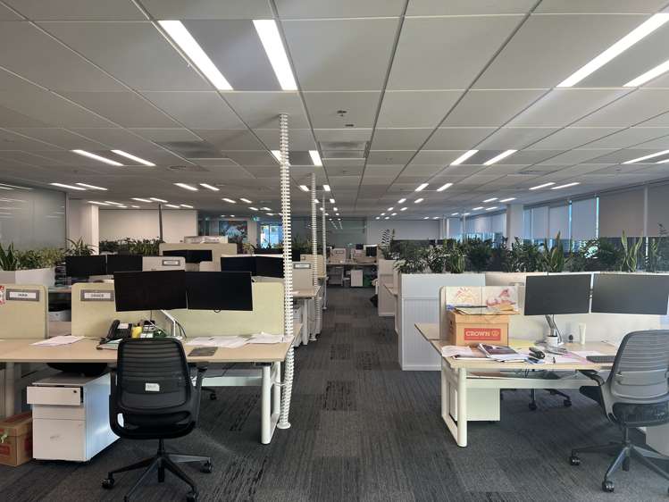 123 Carlton Gore Road Newmarket_5