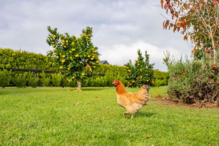 45 Eldonwood Drive Matamata_30