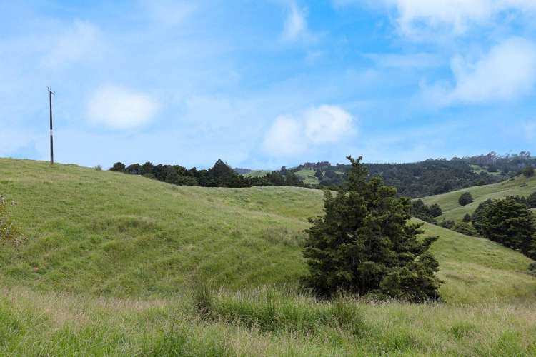 Lot 2/347 Porter Road Paparoa_17