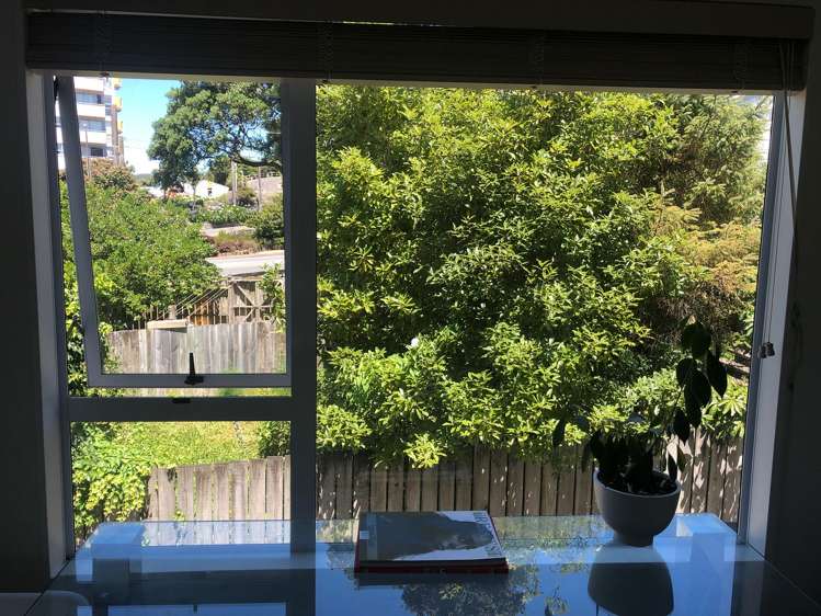 145b Wallace Street Mount Cook_6