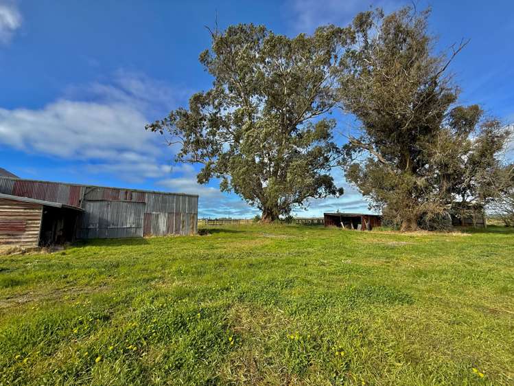 Willowbridge Road Waimate_26