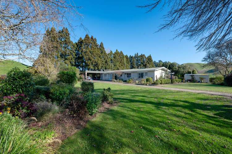471 Poutakataka Road Ngakuru_34