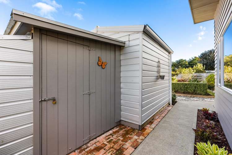 51A Douglas Mclean Avenue Marewa_14