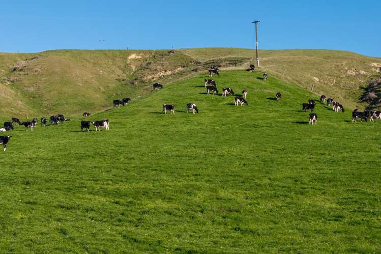 Ridge Road North Pahiatua_13
