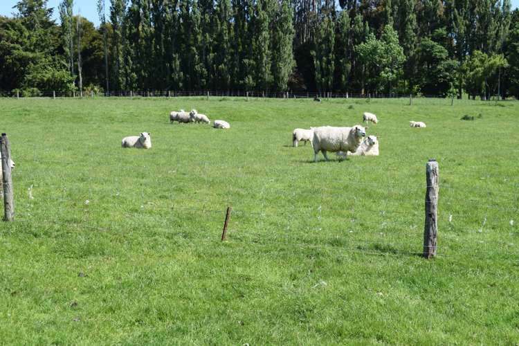 72 Clifden Highway Tuatapere_11