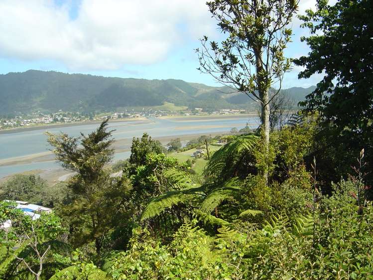 48 Tairua Heights Tairua_5