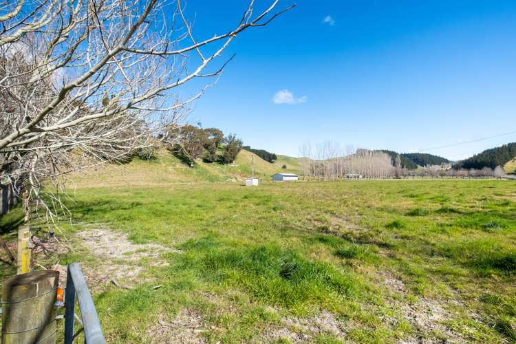 339 Seafield Road Eskdale_29