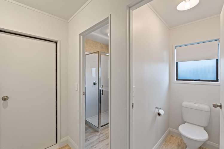 610d Williams Street Mahora_8