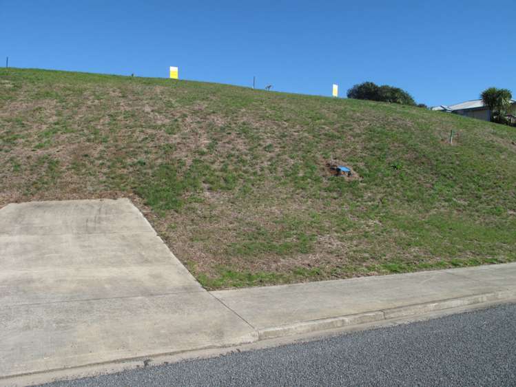 2 Nikau Park Raglan_1