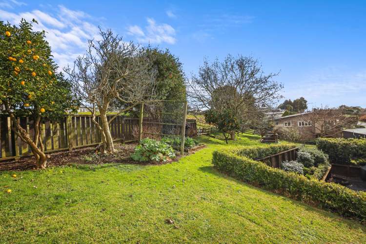 16 Moule Street Kihikihi_7