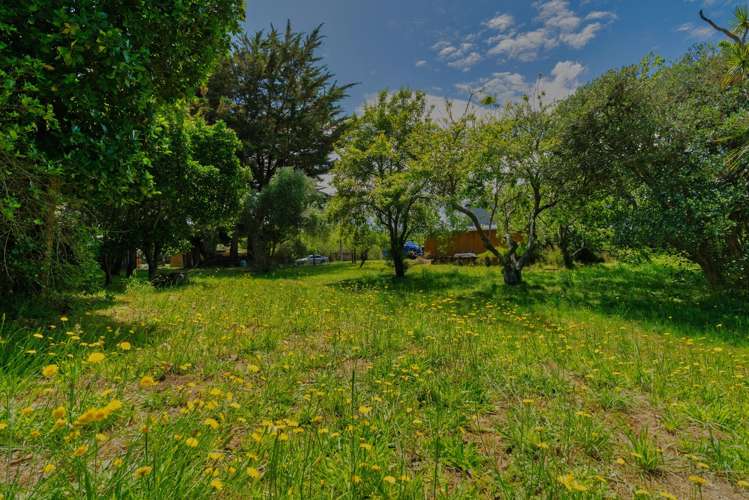 10 Hokio Road Hokio Beach_13