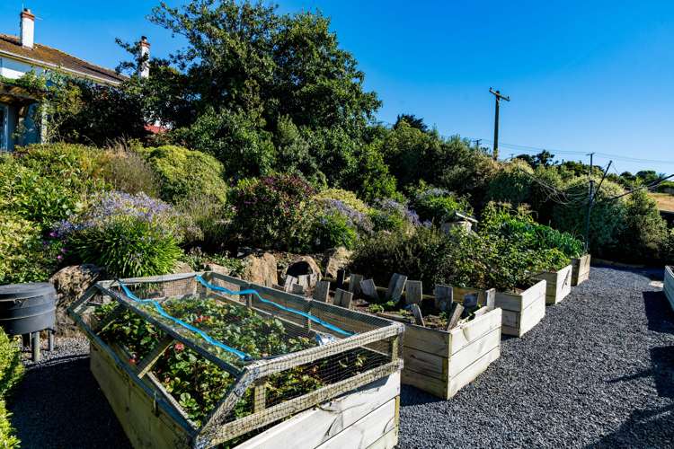 151 Tomahawk Road Andersons Bay_27