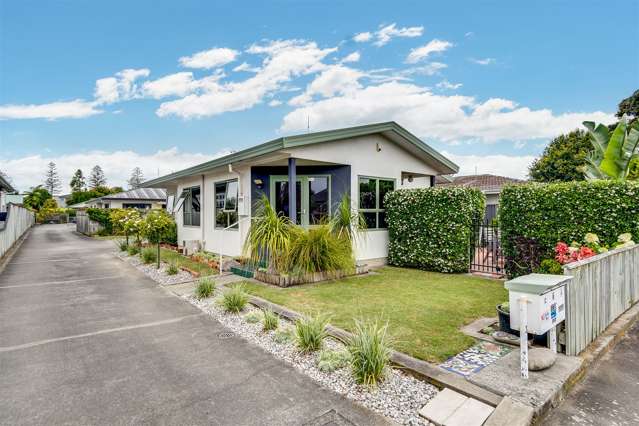 139 Nelson Crescent Napier South_1