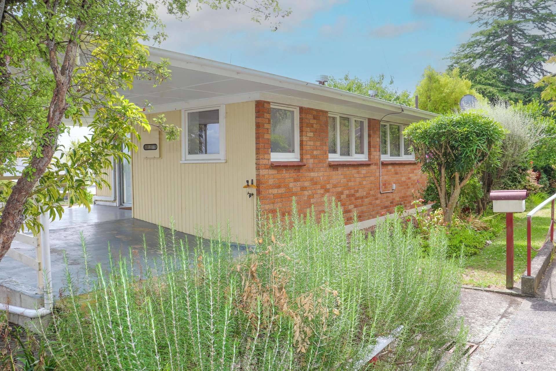 315 Hill Street Thames_0