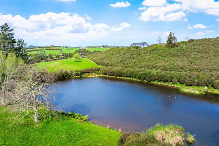 77 Sharp Road Matakana_6