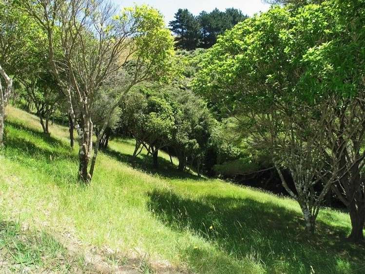 69 Exploration Way Whitby_3