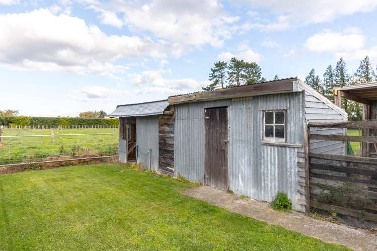 231B Belvedere Road Carterton_15