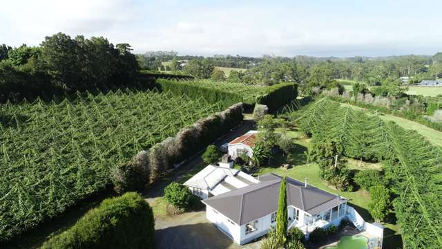 1659 State Highway 10 Kerikeri_3