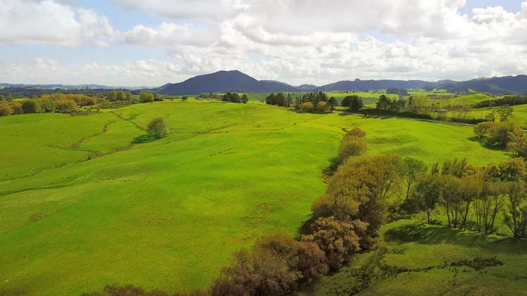 Kaiwaka-Mangawhai Road Kaiwaka_9