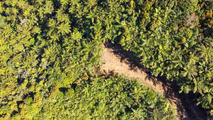 107 Sweetacres Drive Belmont_6