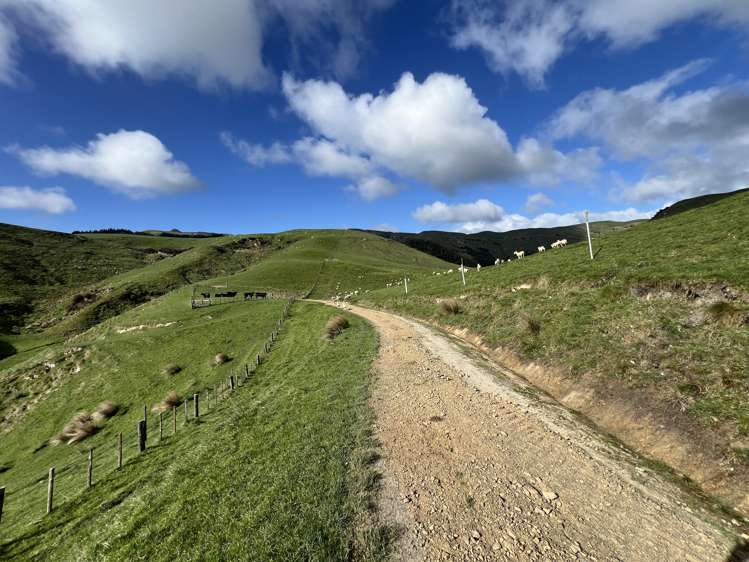 467 Waitahora Valley Road Dannevirke_19