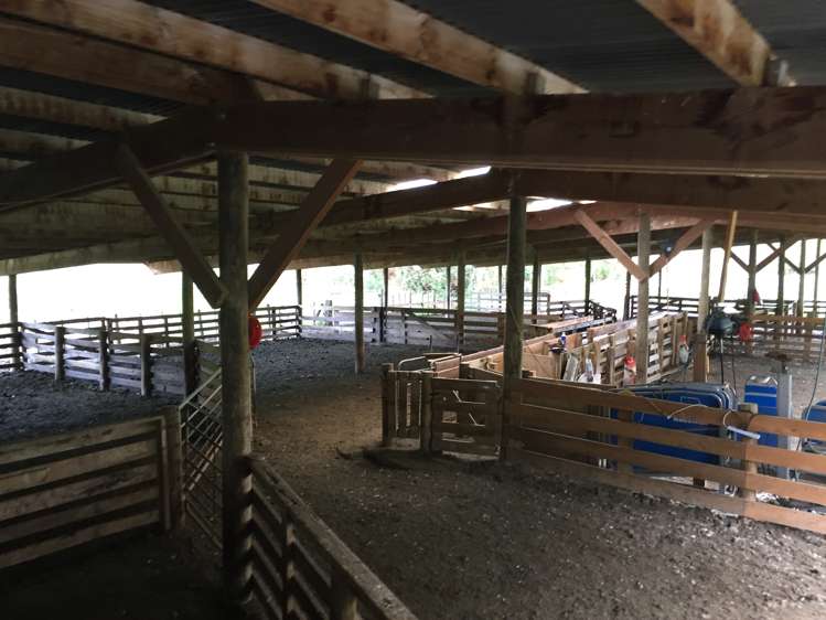 297 Kaitawa Road Pahiatua_16