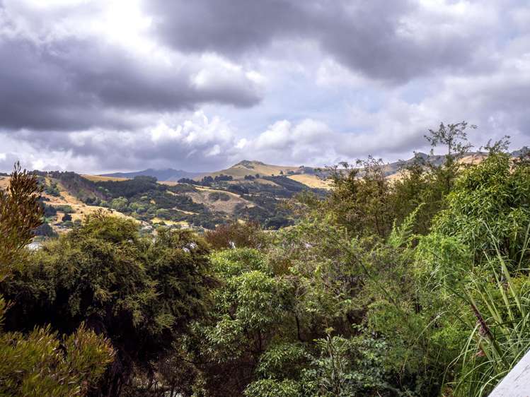 6506 Christchurch Akaroa Road Robinsons Bay_47