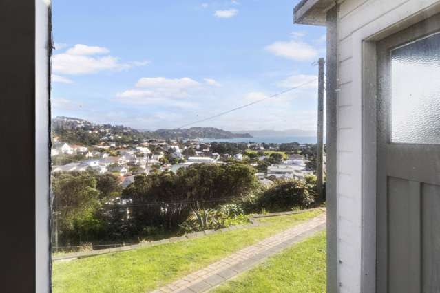 65 Mantell Street Seatoun_1