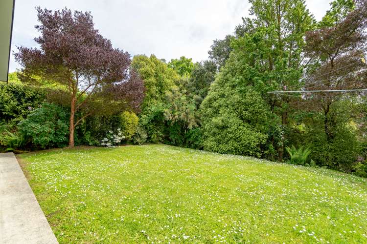 161 Scott Street Waverley_21