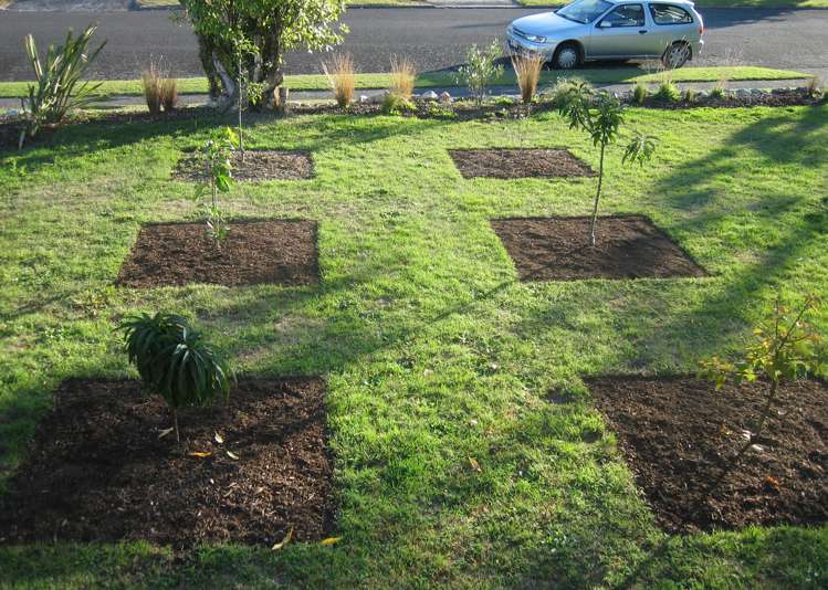 29 East Grampian Street Tokoroa_18