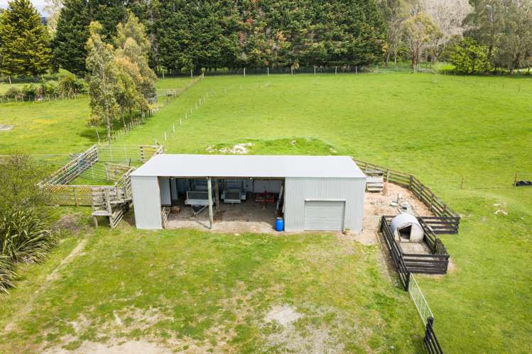 38B Grove Road Hiwinui_29