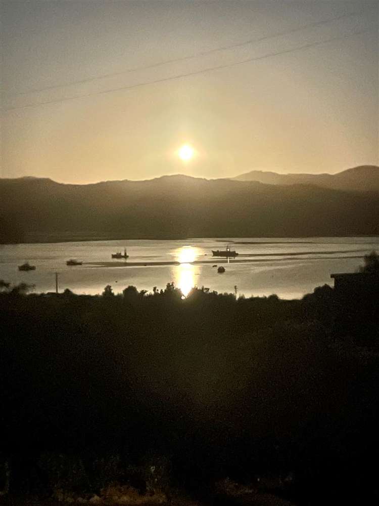 1466 Port Underwood Road Port Underwood_55