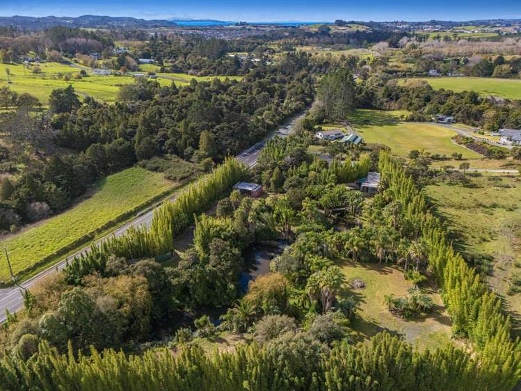 257 Pine Valley Road Dairy Flat_16