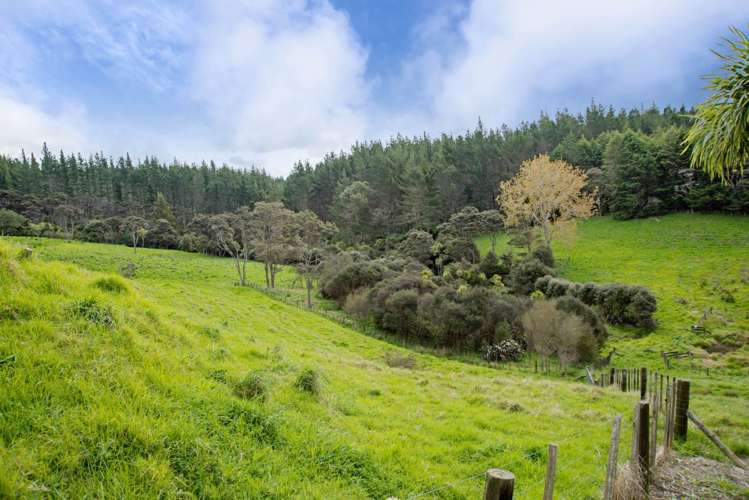 715 Ararimu Valley Road Helensville_27