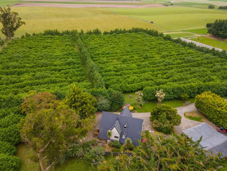 120 Summerleaze Road Otipua_8