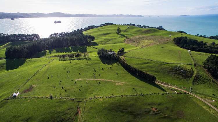 282 Lees Road Hahei_5