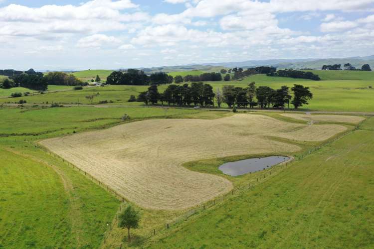 390 Pinfold Road Woodville_7