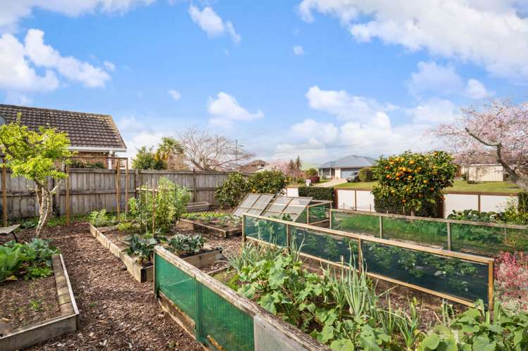 26 Highfields Drive Katikati_25