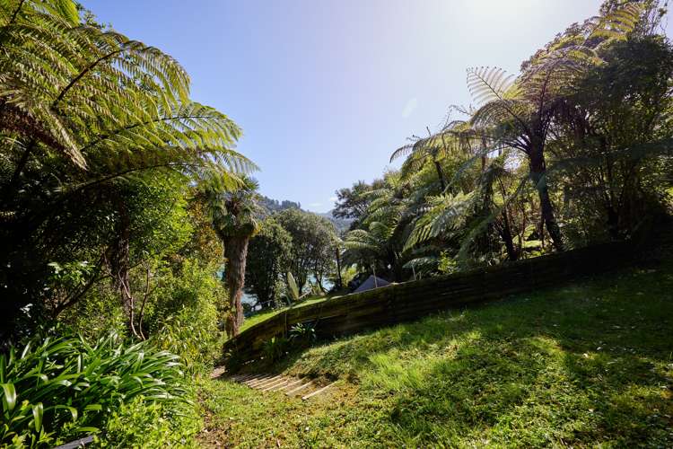 Te Mahia Bay Kenepuru Sound_5
