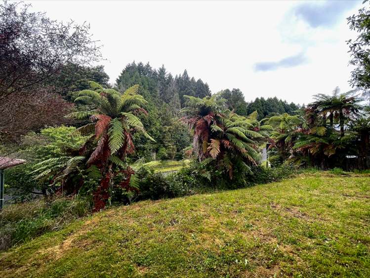 39 Tihi Road Springfield_6