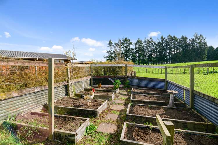 435 Waikite Valley Road Reporoa and Surrounds_17