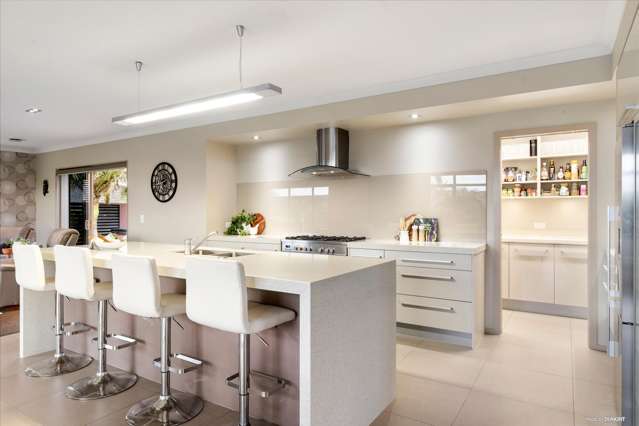 3 William Andrew Road Pukekohe_3
