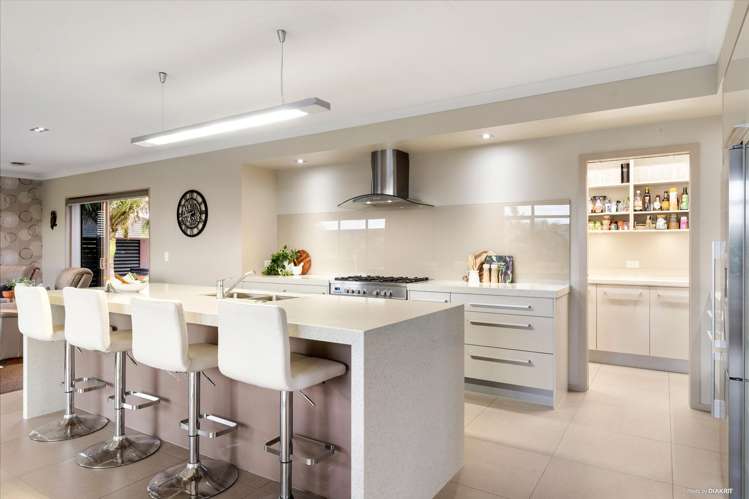3 William Andrew Road Pukekohe_2