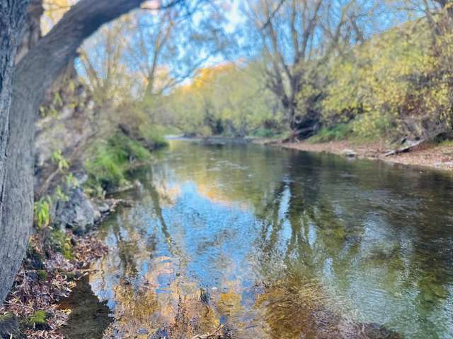 779 Ardgour Road Tarras_4