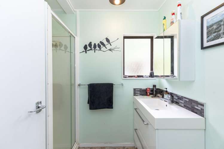 16 McLaughlin Drive Tinui_14