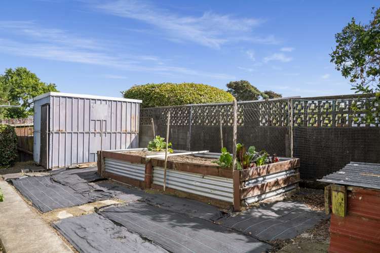 384 Otumoetai Road Otumoetai_14