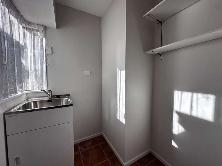 2 Williams Street 11210_7