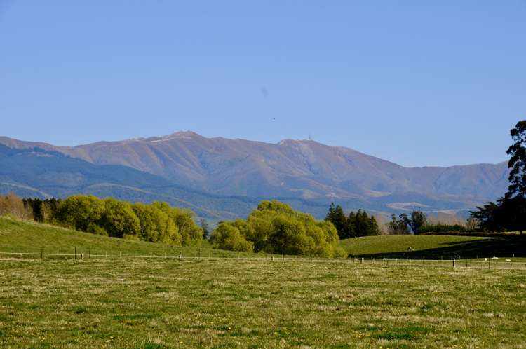 90 Maytown Road Waimate_9