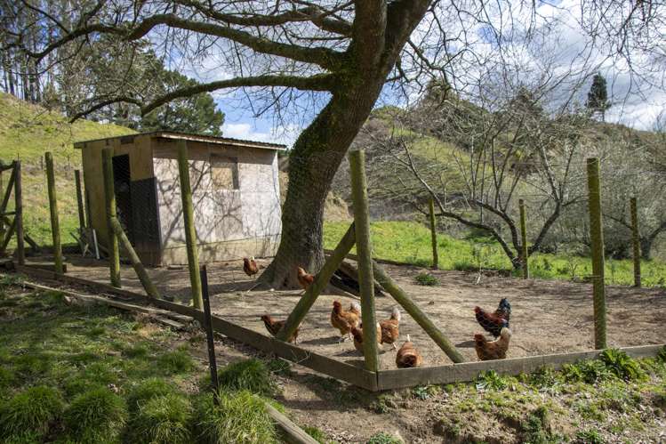 1207 State Highway 33 Okere Falls_23